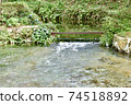 Kumamoto Prefecture, Shirakawa Water Source 74518892