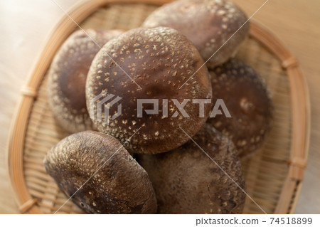 Large shiitake mushrooms in a colander 74518899