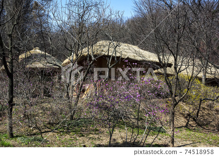 Folk Village Outing 74518958