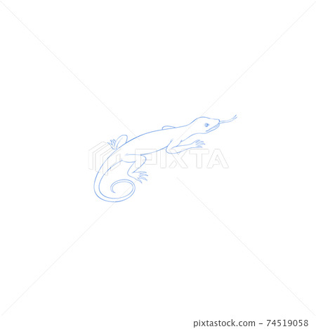 Lacerta, constellation picture, autumn constellation 74519058