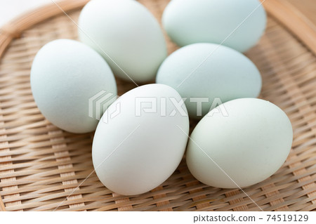 南洋杉蛋〉 74519129