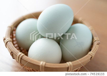 南洋杉蛋〉 南洋杉蛋〉 74519133