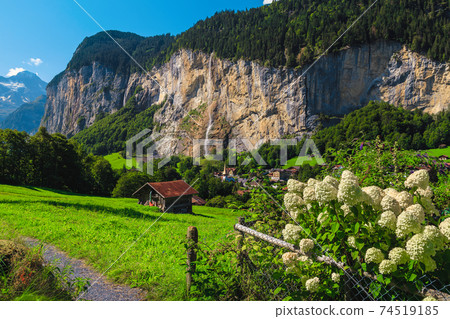Lauterbrunnen valley view from the flowery garden, Bernese Oberland, Switzerland Lauterbrunnen valley view from the flowery garden, Bernese Oberland, Switzerland 74519185