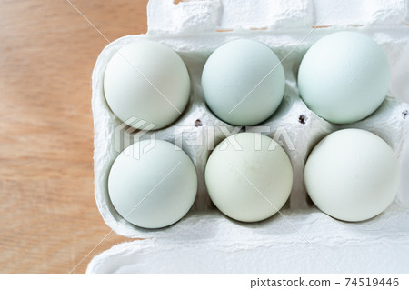 Araucana egg Araucana egg 74519446