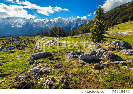 Picturesque spring scenery with high snowy mountains, Piatra Craiului, Romania 74519475