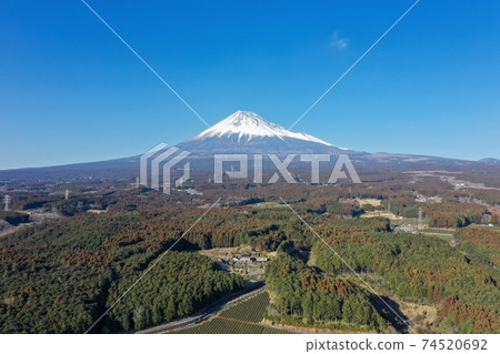 Drone shooting of snow-capped Mt. Fuji and tea plantations from the sky 74520692