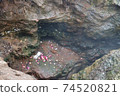 我去了夏威夷大島的基拉韋厄火山 74520821