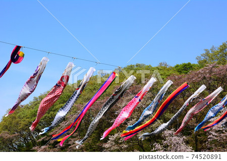 Carp streamer 74520891