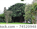 我去了夏威夷大島的Liliuokalani公園 74520948