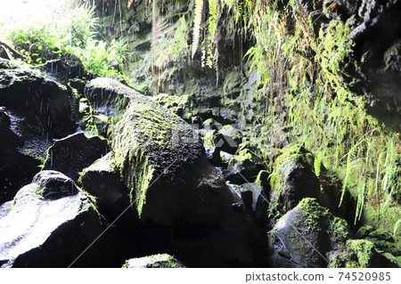Hawaii Island Shelter Cave is Fantastic Hawaii Island Shelter Cave is Fantastic 74520985