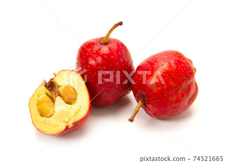 Fruit hawthorn Fruit hawthorn 74521665