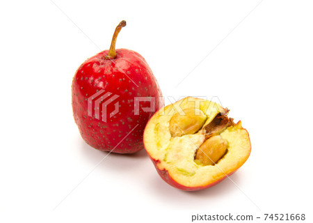 水果山楂 74521668