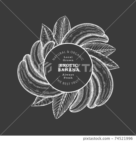 Hand drawn sketch style banana banner. Organic fresh fruit vector illustration on chalk board. Retro exotic fruit design template 74521996