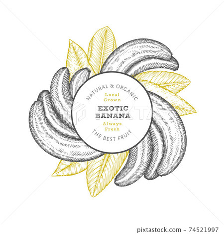 Hand drawn sketch style banana banner. Organic fresh fruit vector illustration. Retro exotic fruit design template 74521997