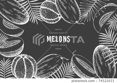 Melons with tropical leaves design template. Hand drawn vector exotic fruit illustration on chalk board. Retro style fruit banner. 74522013