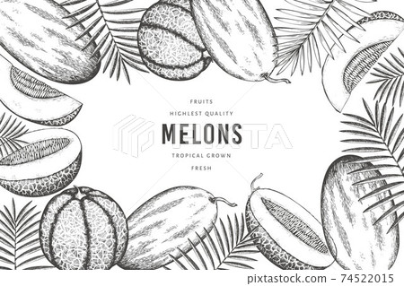 Melons with tropical leaves design template. Hand drawn vector exotic fruit illustration. Retro style fruit banner. 74522015