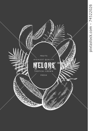 Melons with tropical leaves design template. Hand drawn vector exotic fruit illustration on chalk board. Retro style fruit banner. 74522026
