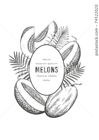 Melons with tropical leaves design template. Hand drawn vector exotic fruit illustration. Retro style fruit banner. 74522028