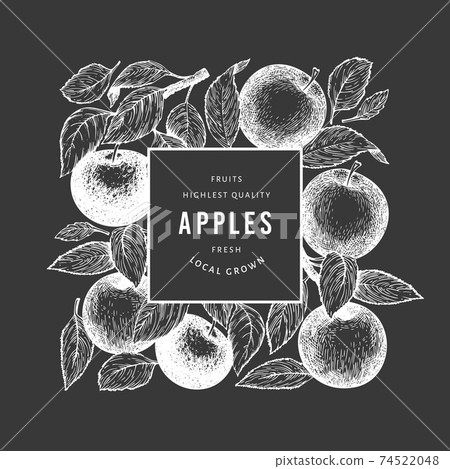 Apple branch design template. Hand drawn vector garden fruit illustration on chalk board. Engraved style fruit retro botanical banner. 74522048