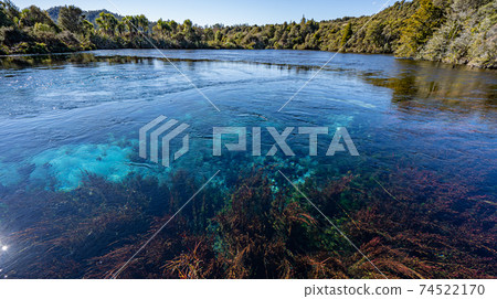 Pupu Spring Pupu Spring 74522170