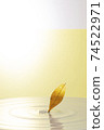 gentle gentle 74522971