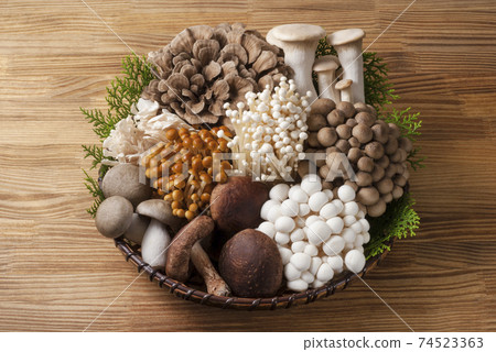 Assorted mushrooms Assorted mushrooms 74523363