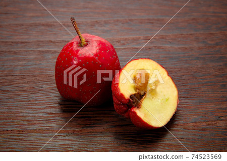 Fruit hawthorn 74523569