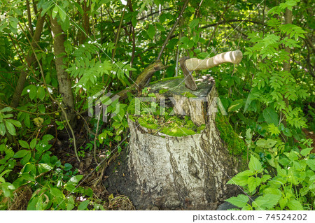 Ax in the stump. Ax in the stump. 74524202