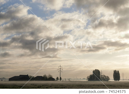 Misty landscape near Sliedrecht Misty landscape near Sliedrecht 74524575