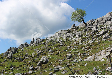 初夏的四國喀斯特 74526722