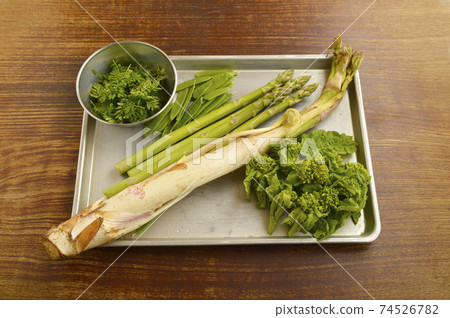 春天野生植物 春天野生植物 74526782