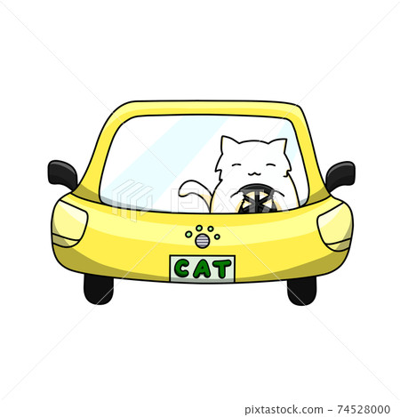 White cat driving a car White cat driving a car 74528000