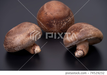 A photo of the highest peak of carefully selected raw shiitake mushroom "Noto Temari" A photo of the highest peak of carefully selected raw shiitake mushroom "Noto Temari" 74529232