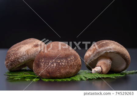 A photo of the highest peak of carefully selected raw shiitake mushroom "Noto Temari" 74529263