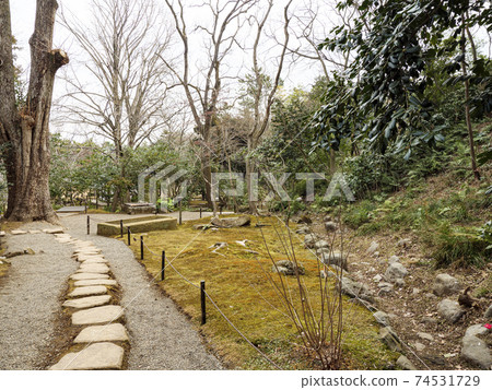 Early spring at Sankeien Garden, a scenic spot in Yokohama City, Kanagawa Prefecture Early spring at Sankeien Garden, a scenic spot in Yokohama City, Kanagawa Prefecture 74531729
