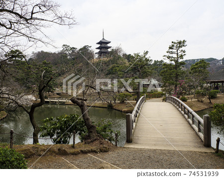 Early spring at Sankeien Garden, a scenic spot in Yokohama City, Kanagawa Prefecture 74531939