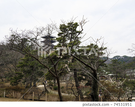 Early spring at Sankeien Garden, a scenic spot in Yokohama City, Kanagawa Prefecture Early spring at Sankeien Garden, a scenic spot in Yokohama City, Kanagawa Prefecture 74531951
