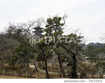 Early spring at Sankeien Garden, a scenic spot in Yokohama City, Kanagawa Prefecture Early spring at Sankeien Garden, a scenic spot in Yokohama City, Kanagawa Prefecture 74531952