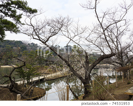 Early spring at Sankeien Garden, a scenic spot in Yokohama City, Kanagawa Prefecture Early spring at Sankeien Garden, a scenic spot in Yokohama City, Kanagawa Prefecture 74531953