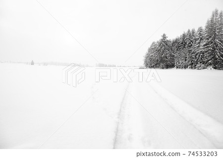 winter landscape with snowy trees in Czech Republic winter landscape with snowy trees in Czech Republic 74533203