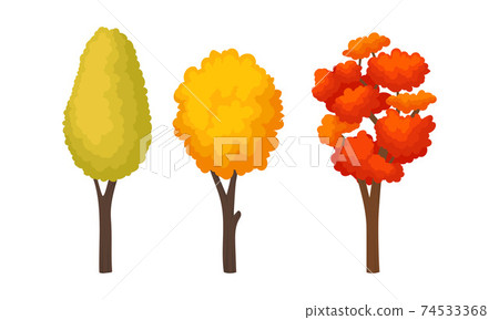 Autumn Trees with Trunk and Bright Foliage... - Stock Illustration ...