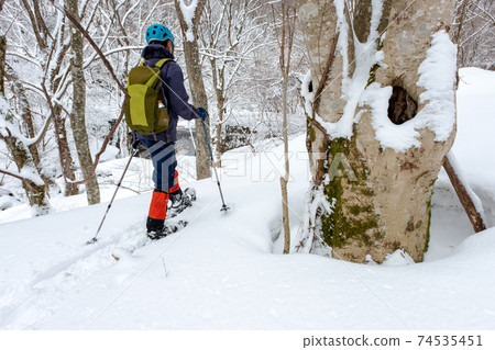 Image of snowshoe trekking (Oyama Kitanizawa mountain stream) Image of snowshoe trekking (Oyama Kitanizawa mountain stream) 74535451