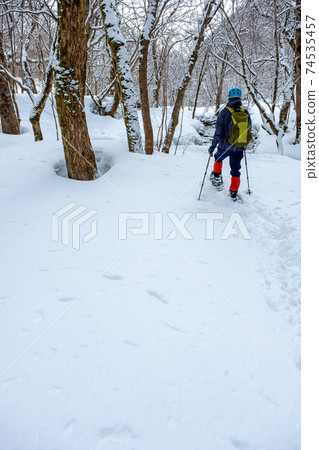 Image of snowshoe trekking (Oyama Kitanizawa mountain stream) Image of snowshoe trekking (Oyama Kitanizawa mountain stream) 74535457