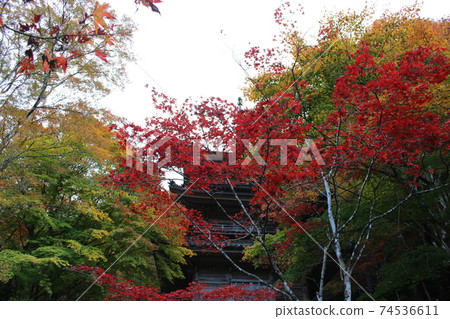 高原丹後市高原町秋葉[兵庫縣] 74536611