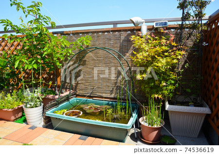 帶楓葉和竹百葉窗的日式陽台生物群落 帶楓葉和竹百葉窗的日式陽台生物群落 74536619