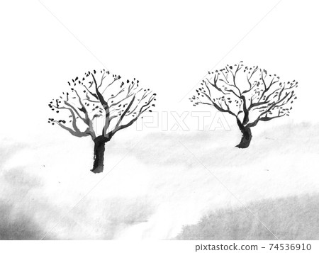 Monochrome illustration of plum tree (ink hand-drawn illustration) 74536910