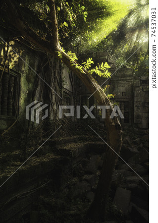神秘的廢墟 74537031