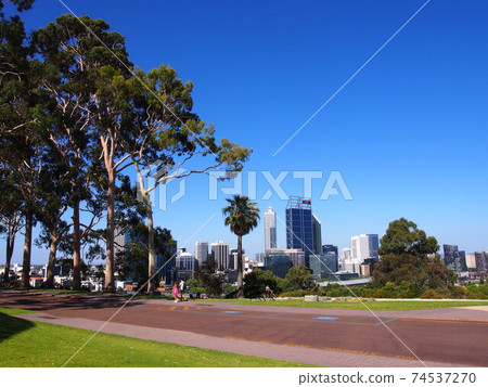 Perth Kings Park 74537270