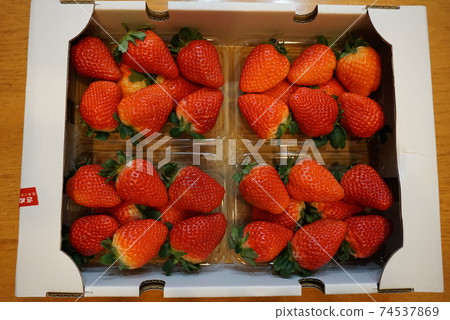 Lots of boxed strawberries Lots of boxed strawberries 74537869