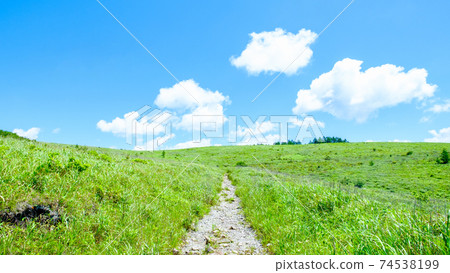 霧峰高原的風景(夏季) 霧峰高原的風景(夏季) 74538199